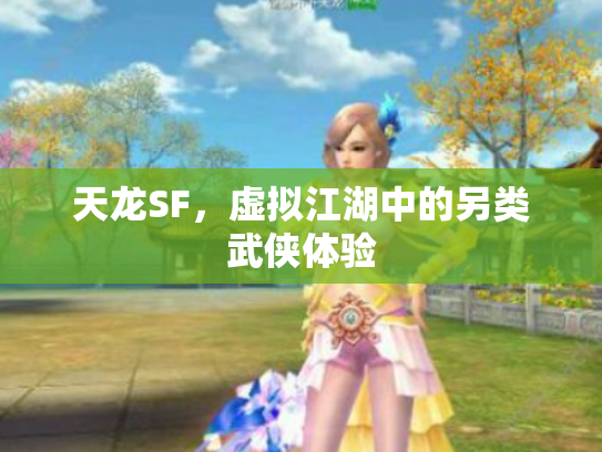 天龙SF，虚拟江湖中的另类武侠体验