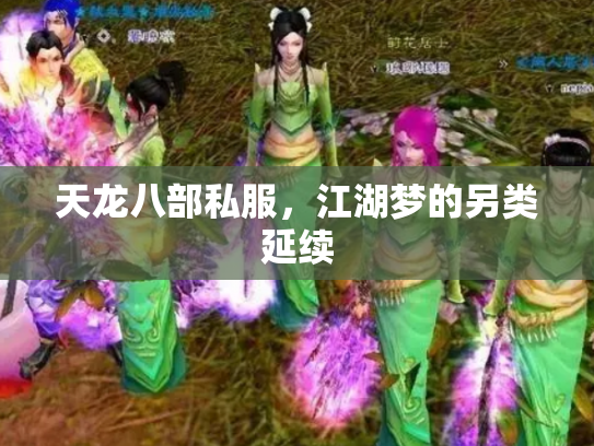天龙八部私服，江湖梦的另类延续