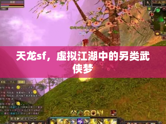 天龙sf，虚拟江湖中的另类武侠梦