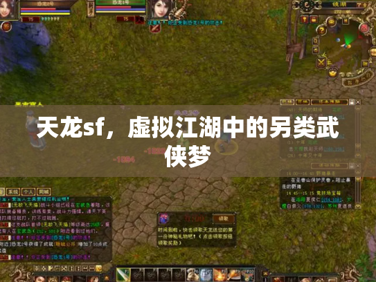 天龙sf，虚拟江湖中的另类武侠梦