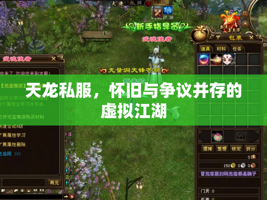 天龙私服，怀旧与争议并存的虚拟江湖