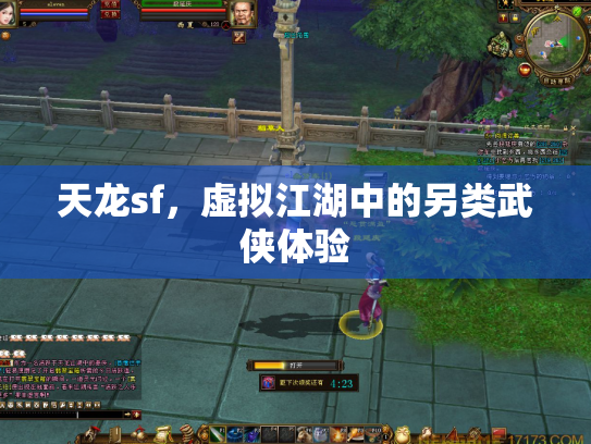 天龙sf，虚拟江湖中的另类武侠体验