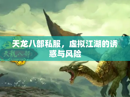 天龙八部私服，虚拟江湖的诱惑与风险