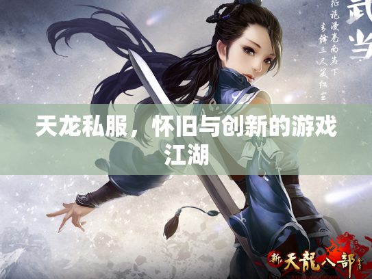 天龙私服，怀旧与创新的游戏江湖