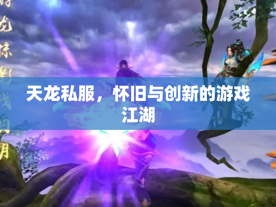 天龙私服，怀旧与创新的游戏江湖