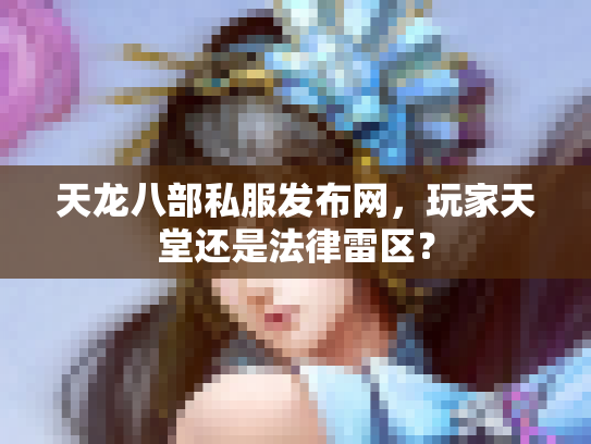 天龙八部私服发布网，玩家天堂还是法律雷区？