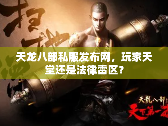 天龙八部私服发布网，玩家天堂还是法律雷区？