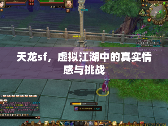天龙sf，虚拟江湖中的真实情感与挑战