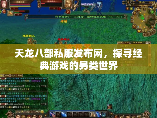 天龙八部私服发布网，探寻经典游戏的另类世界