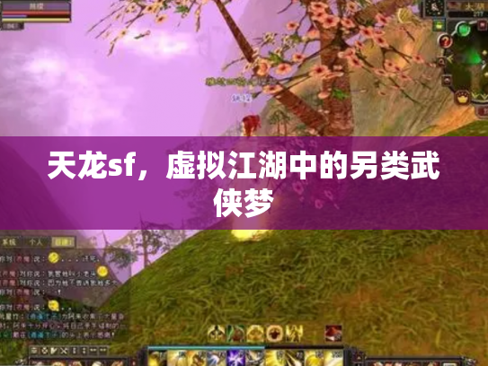 天龙sf，虚拟江湖中的另类武侠梦