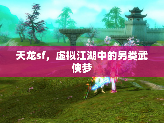 天龙sf，虚拟江湖中的另类武侠梦
