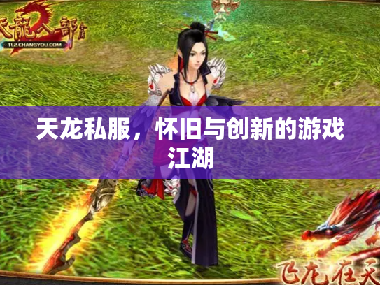 天龙私服，怀旧与创新的游戏江湖
