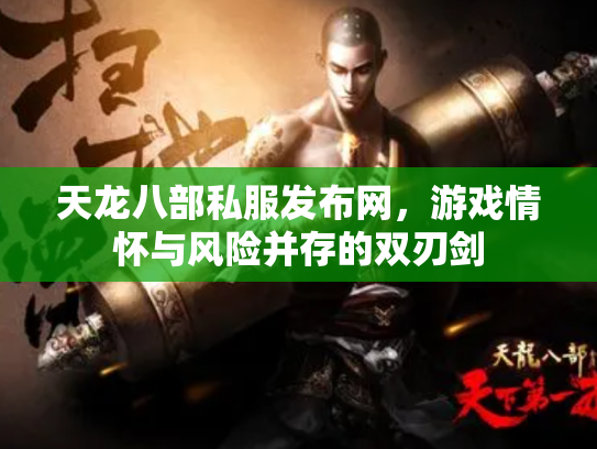 天龙八部私服发布网，游戏情怀与风险并存的双刃剑