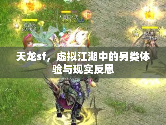 天龙sf，虚拟江湖中的另类体验与现实反思