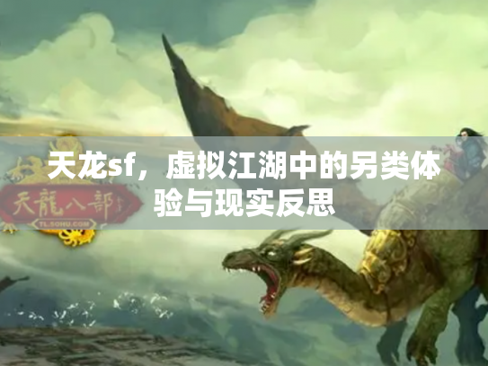 天龙sf，虚拟江湖中的另类体验与现实反思