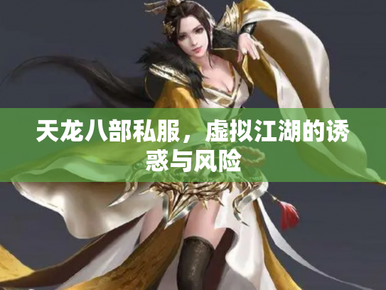 天龙八部私服，虚拟江湖的诱惑与风险