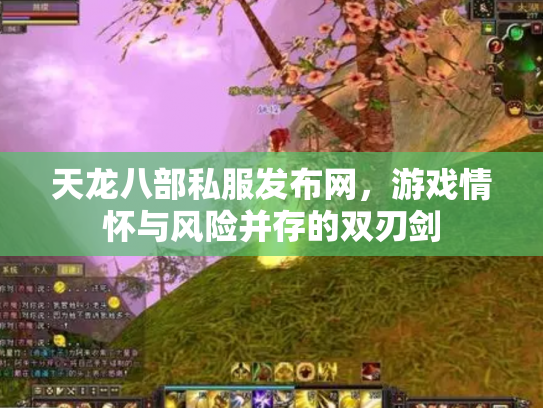 天龙八部私服发布网，游戏情怀与风险并存的双刃剑