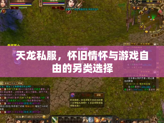 天龙私服，怀旧情怀与游戏自由的另类选择