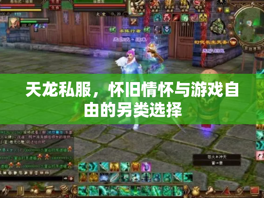 天龙私服，怀旧情怀与游戏自由的另类选择