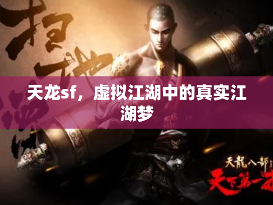 天龙sf，虚拟江湖中的真实江湖梦