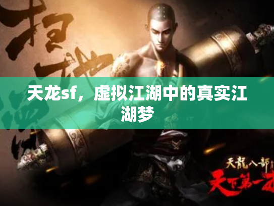 天龙sf，虚拟江湖中的真实江湖梦