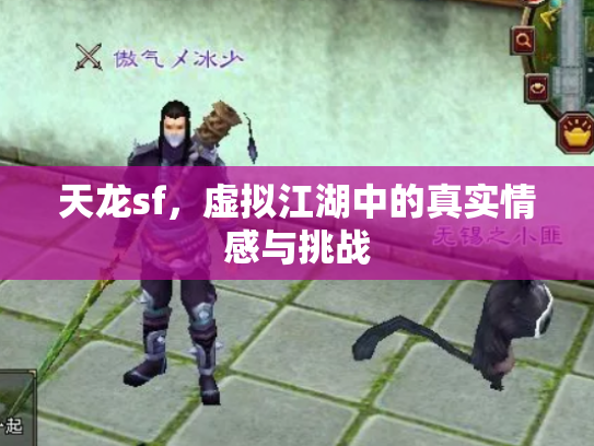 天龙sf，虚拟江湖中的真实情感与挑战