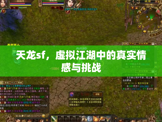 天龙sf，虚拟江湖中的真实情感与挑战