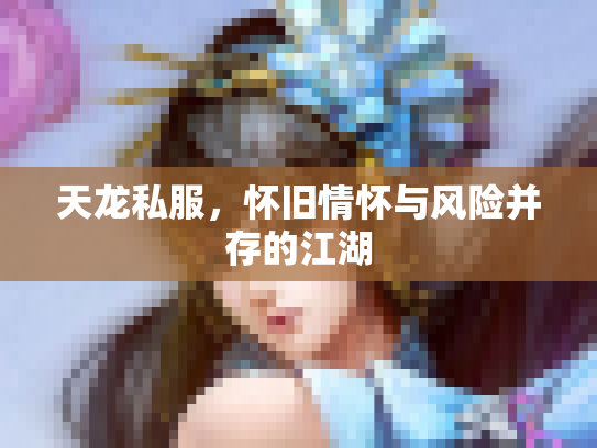 天龙私服，怀旧情怀与风险并存的江湖