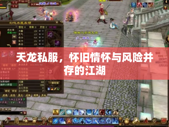 天龙私服，怀旧情怀与风险并存的江湖