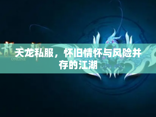 天龙私服，怀旧情怀与风险并存的江湖