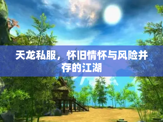 天龙私服，怀旧情怀与风险并存的江湖