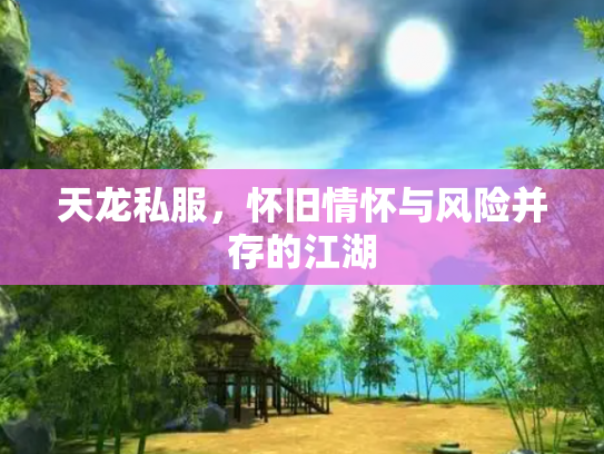 天龙私服，怀旧情怀与风险并存的江湖