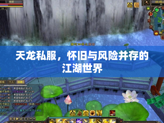 天龙私服，怀旧与风险并存的江湖世界