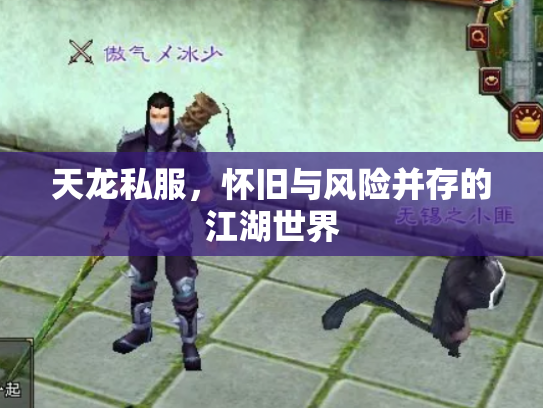 天龙私服，怀旧与风险并存的江湖世界