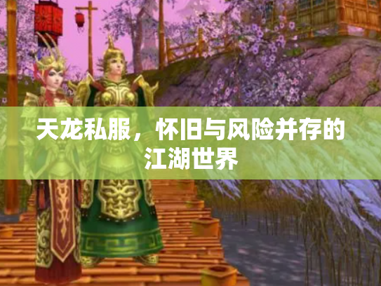 天龙私服，怀旧与风险并存的江湖世界