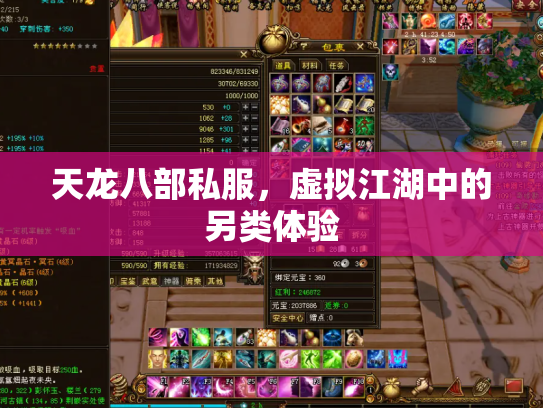 天龙八部私服，虚拟江湖中的另类体验