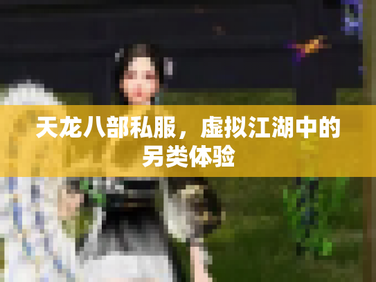 天龙八部私服，虚拟江湖中的另类体验
