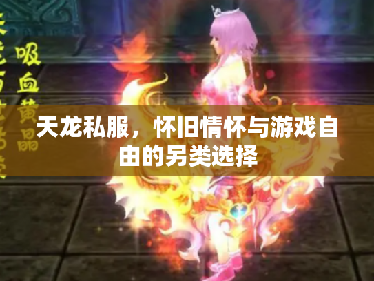 天龙私服，怀旧情怀与游戏自由的另类选择