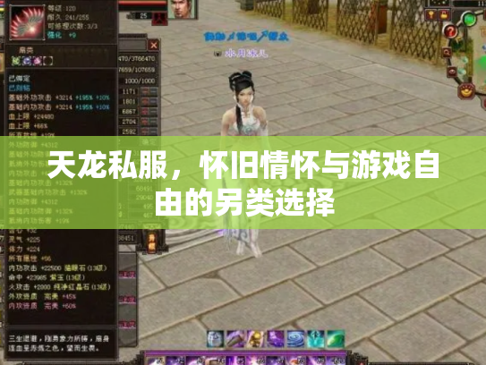 天龙私服，怀旧情怀与游戏自由的另类选择