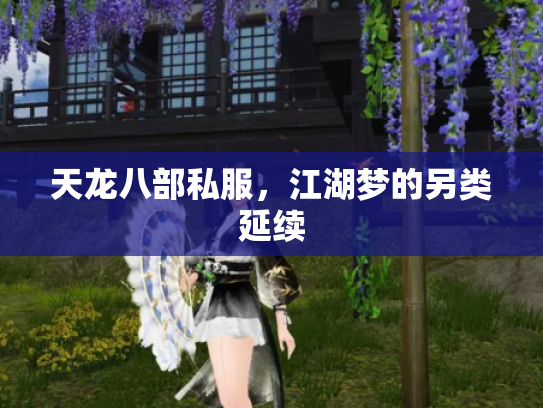 天龙八部私服，江湖梦的另类延续