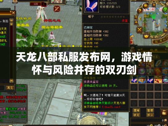 天龙八部私服发布网，游戏情怀与风险并存的双刃剑