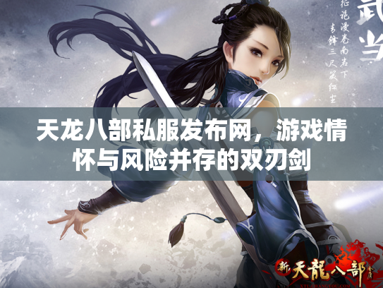 天龙八部私服发布网，游戏情怀与风险并存的双刃剑