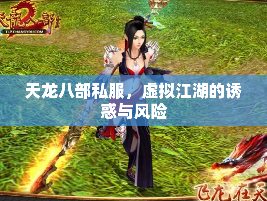 天龙八部私服，虚拟江湖的诱惑与风险