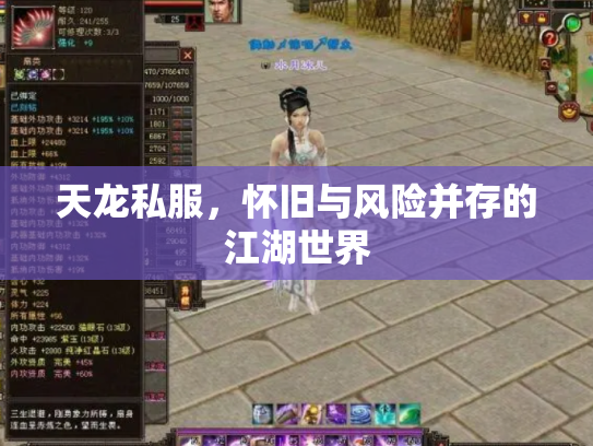 天龙私服，怀旧与风险并存的江湖世界