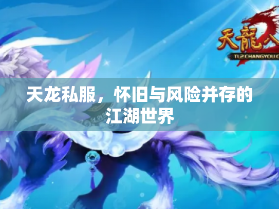 天龙私服，怀旧与风险并存的江湖世界