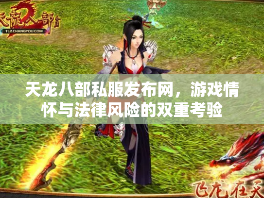 天龙八部私服发布网，游戏情怀与法律风险的双重考验