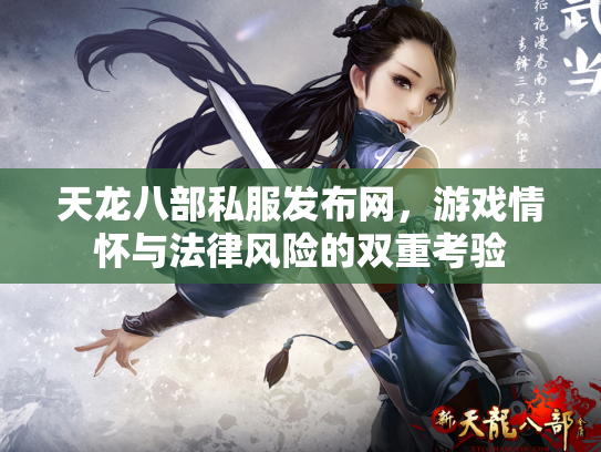 天龙八部私服发布网，游戏情怀与法律风险的双重考验