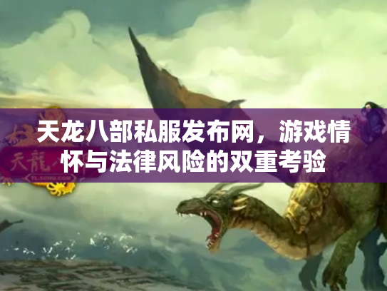天龙八部私服发布网，游戏情怀与法律风险的双重考验