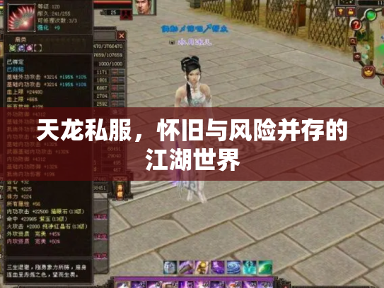 天龙私服，怀旧与风险并存的江湖世界
