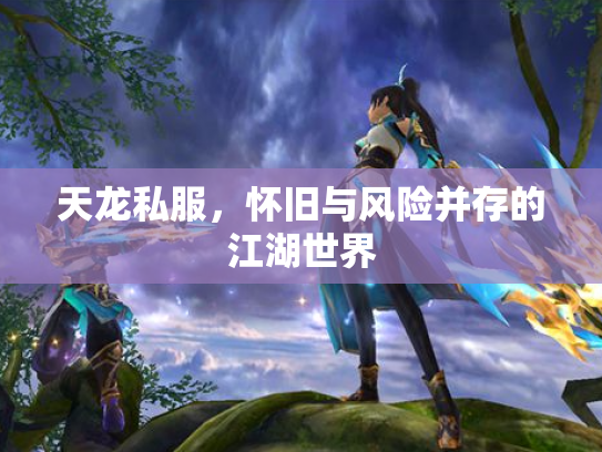 天龙私服，怀旧与风险并存的江湖世界